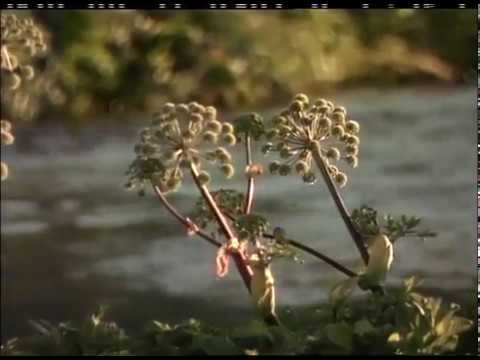 Í farlægð Björgvin Halldórs