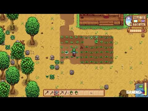Video preview