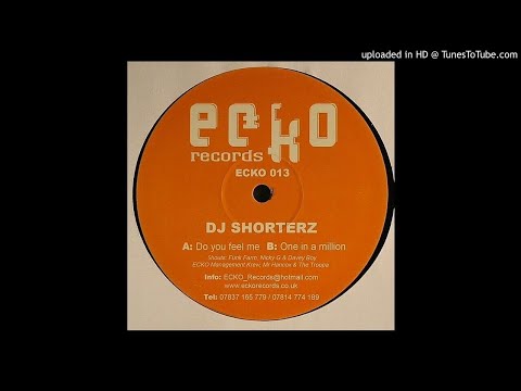 DJ Shorterz - Do You Feel Me? *Bassline House*