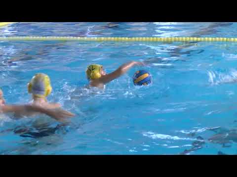 El Emalgesa Waterpolo Algeciras hace balance de estos meses de pandemia