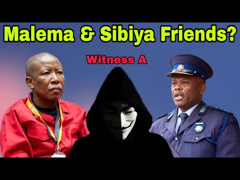 Witness A says Julius Malema and General Sibiya are Friends at Madlanga Commission.
