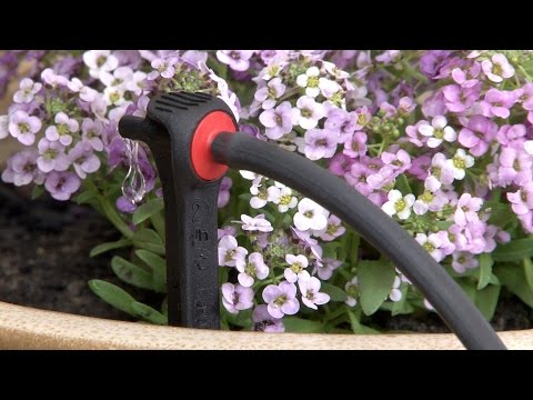 Antelco Asta Drip Pressure Compensating PC Spike Dripper Installation