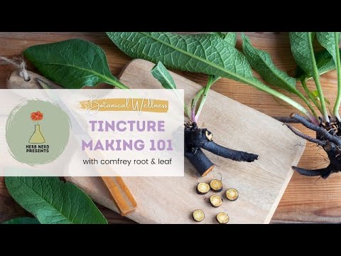 Tincture Making 101: Learn to Make a Fresh Plant Tincture of Comfrey Root Using Ratios!