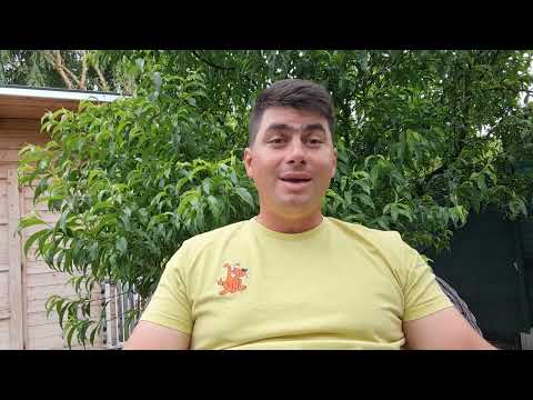 DOGGIE.SK - Juraj Ferko - Koľko pohybu má mať pes - Výcvik psov otázky a odpovede