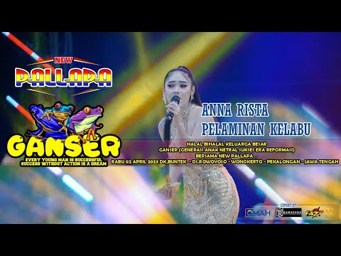 PELAMINAN KELABU-ANAHRISTA (NEW PALLAPA LIVE GANSER BUNTEK WONOKERTO PEKALONGAN 2025)