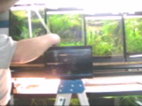 comment remplir d'eau son aquarium