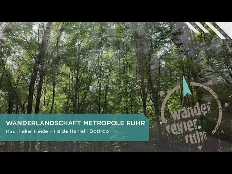 Wandern in der Kirchheller Heide - Wandertipp vom Regionalverband Ruhr