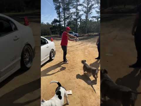 23 de febrero de 2020