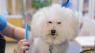Grooming (Petco)