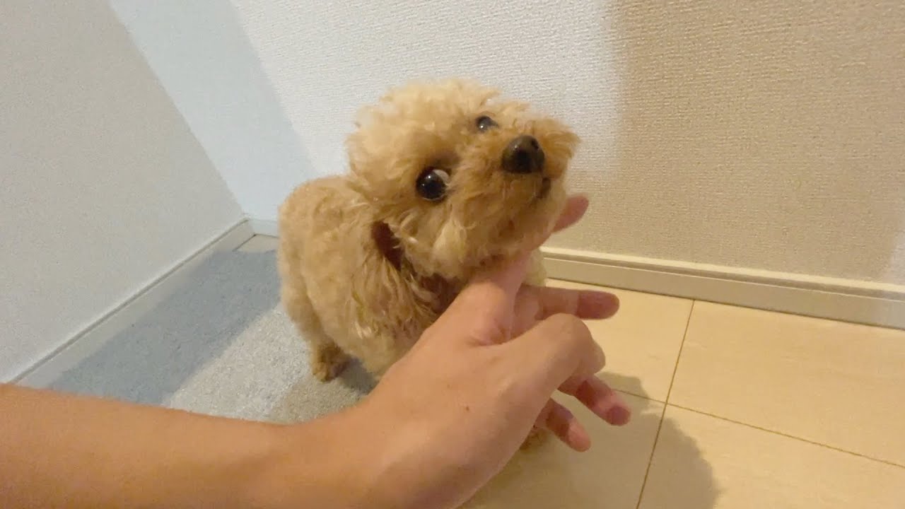 事件が起きました