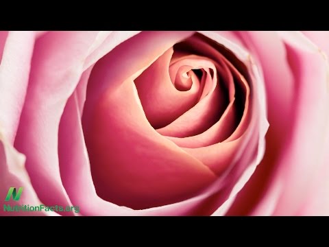 Breast Cancer Survival Vegetable