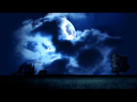 Space Frog feat. The Grim Reaper - (X-Ray) Follow Me 2002 (Director's Cut)