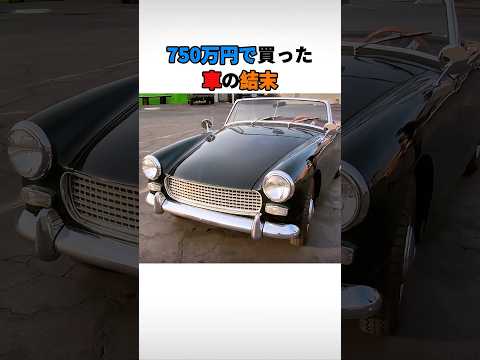 750万円で買った車の結末