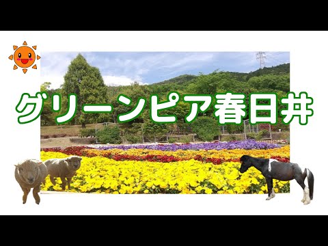 0717 Greenpia Kasugai