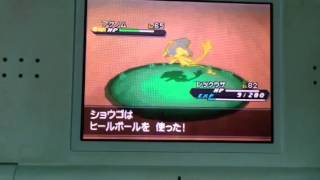 アグノム ポケットモンスター オドリドリ ハクリュー エルレイド