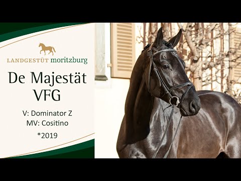 DE MAJESTÄT VFG v. Dominator Z - Cositino 2023
