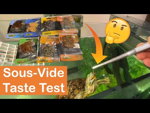 My Turtle Tries Sous-Vide Insects... | Exo Terra Insects