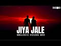 Jiya Jale - Remix | Melodic House | Debb | Dil se