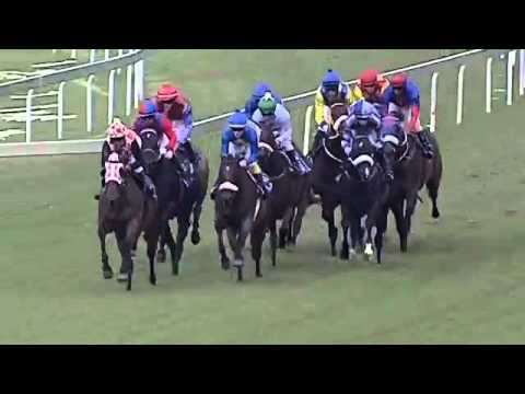 2016.02.27 Hawaii Stakes (RSA) - Captain Aldo