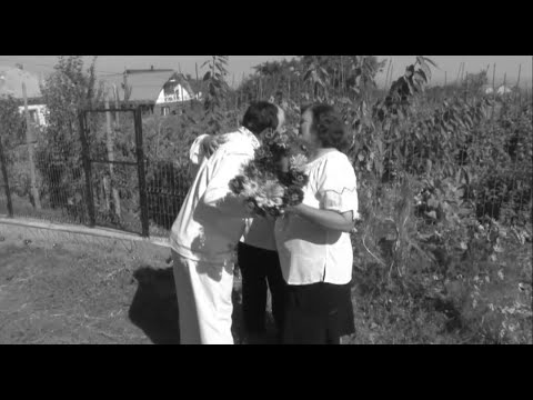 Alin Nica - Mi-e dor mamă,mi-e dor tată 💔