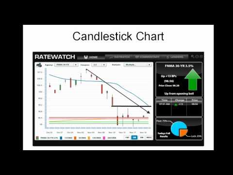 Daily Market Report November 22