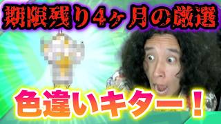 【緊急】期限残り4ヶ月の色違いべべノムが出て神すぎたww【ポケモンUSUM】