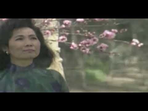 Nắng Đẹp Miền Nam - Phương Dung | Sáng tác: Lam Phương