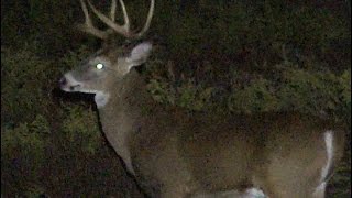 Spotting Pennsylvania Bucks 2016