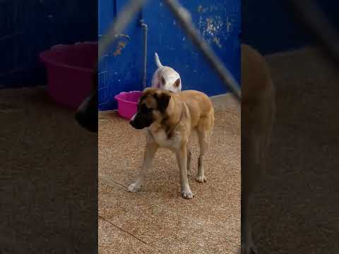 Sphoek Namira in badje