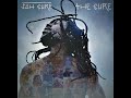 Jah Cure Rasta