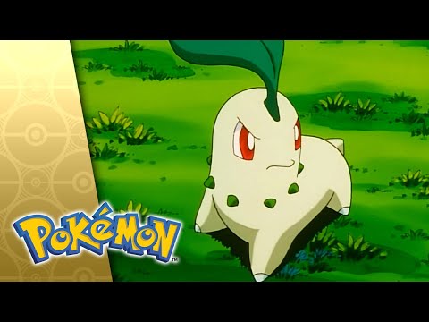 Chikorita Rescue! | POKÉMON FULL EPISODE 10 | Season 3