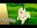 Chikorita Rescue POKÉMON FULL EPISODE 10 Season 3