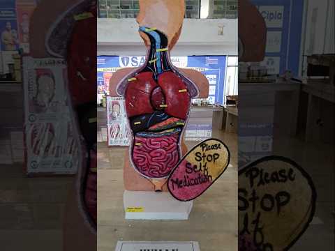 human body #phonk #music #beats #remix #dnb #love #mudra #musicsong #flowers #mudita