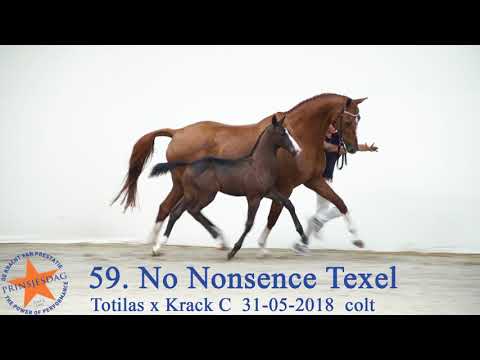 59 No Nonsence Texel v. Totilas x Krack C www.prinsjesdag.eu