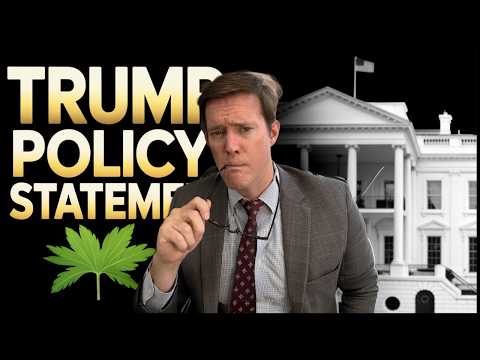 Watch What Trump Really Said About Weed | Trump marijuana statement
