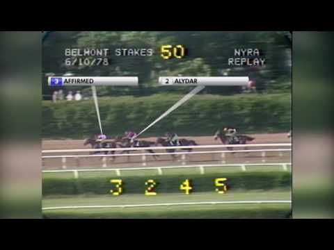 Andy and the Mig - 1978 Belmont Stakes