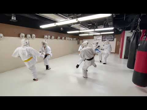 空道 KUDO 大道塾札幌南支部