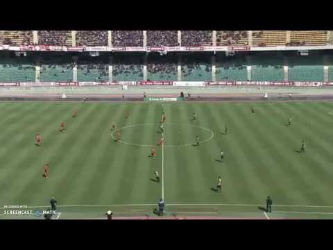 Bari-Verona 0-2 highlights