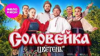 Цветень - Соловейка (Official Video, 2024) @MELOMAN-HIT