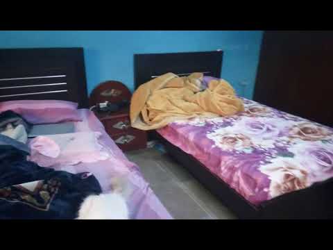 Aliza and Aieza Playing with Cats