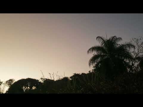 Devadip Orchestra (Santana), Gothenburg (1978)