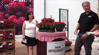 California Spring Trials 2026: PanAmerican Seed