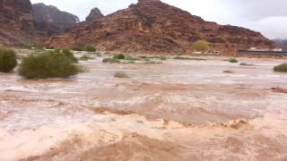 preview picture of video 'سيول وادي رم  2014.5.8 Wadi Rum Rain'