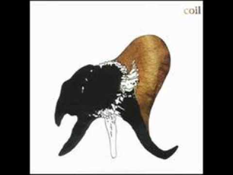 Coil - Things We Never Had (Black Antlers)