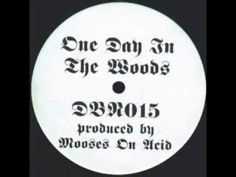 DBN015 - MOOSES ON ACID - Euphoric - "One Day In The Woods"