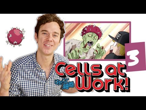 Real DOCTORがCELLS AT WORKに反応!// 第3話 // "インフルエンザ" (Real DOCTOR reacts to CELLS AT WORK! // Episode 3 // "Influenza")