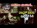 ఒంటరిగా చూడకండి Best Horror Scene In Telugu Latest Telugu Movie Scenes T
