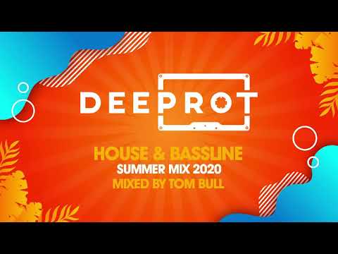 HOUSE & BASSLINE SUMMER MIX 2020