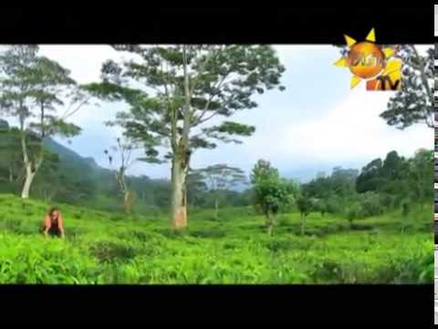 Hiru TV