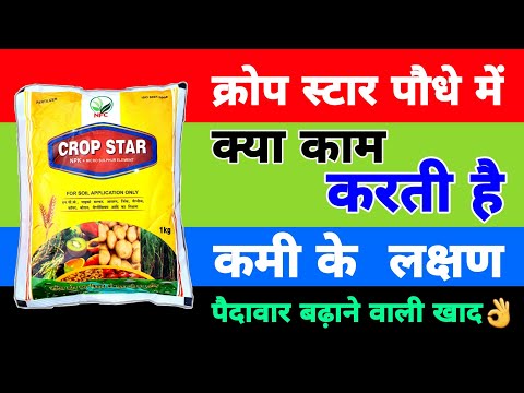 क्रोप स्टार पौधे में क्या काम करती है | क्रोप स्टार  के फायदे | Crop Star पैदावार डबल |जबरदस्त फुटाव